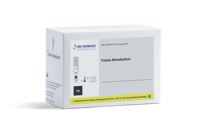 Folate Metabolism